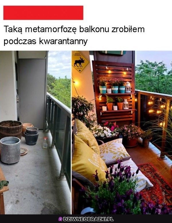 No ładnie
