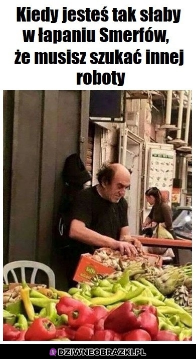 Zmiana pracy