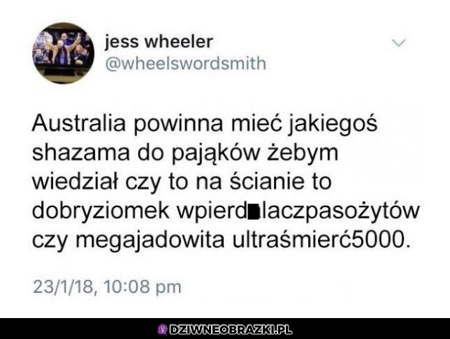 To byłoby dobre