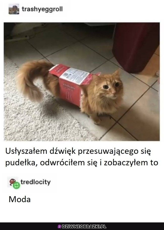 Gustowny strój
