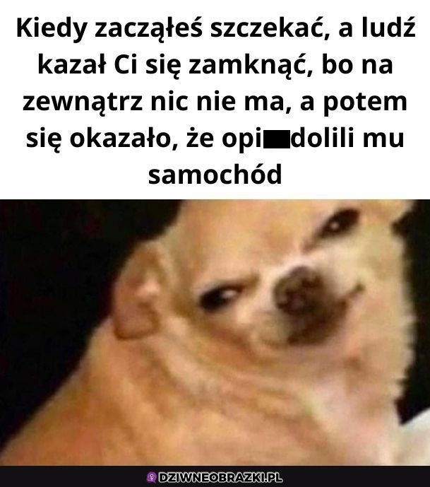 Masz za swoje