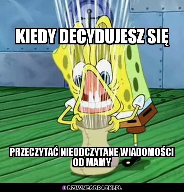 O w mordę