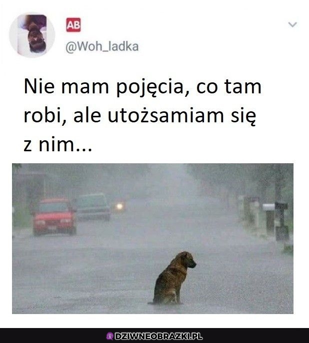 Czuję to samo
