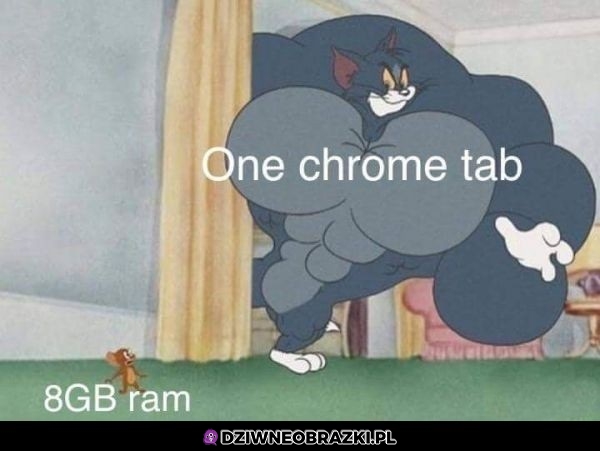 Chrome i ram