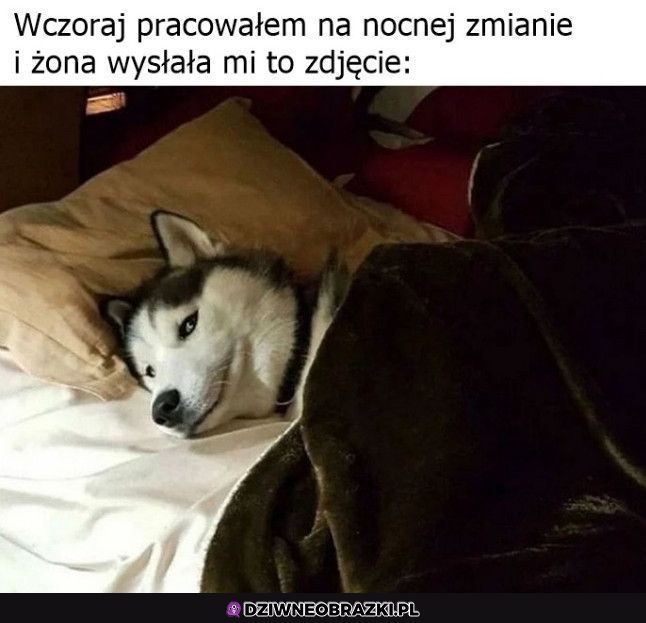 ale słodko :3