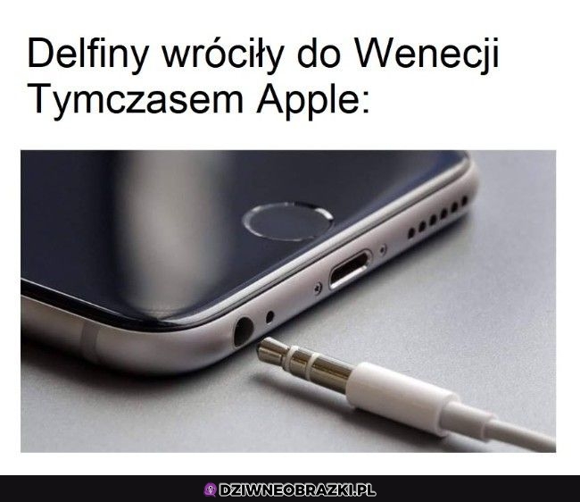 Wielkie powroty