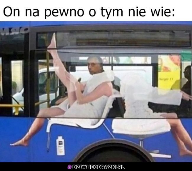 Wpasował się