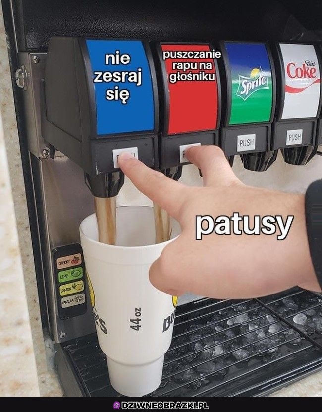 Patusy