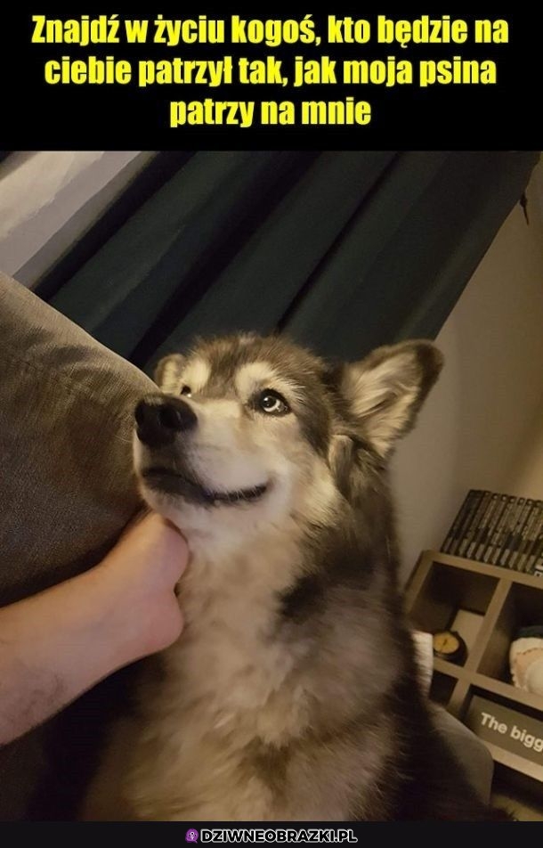 To spojrzenie