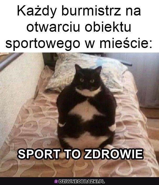 Taki ich wygląd