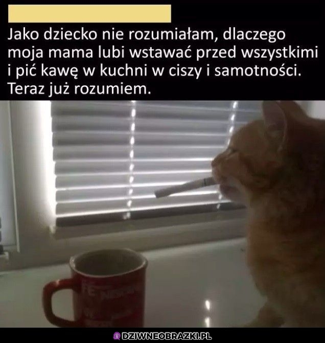 Jedyny moment spokoju