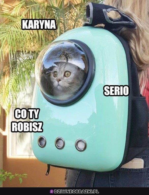 Gdzie ty mnie zabierasz