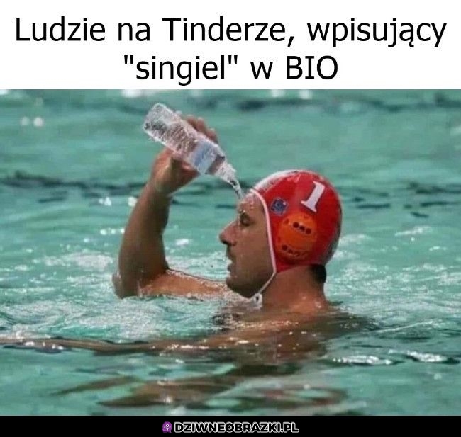 Taki ich wygląd