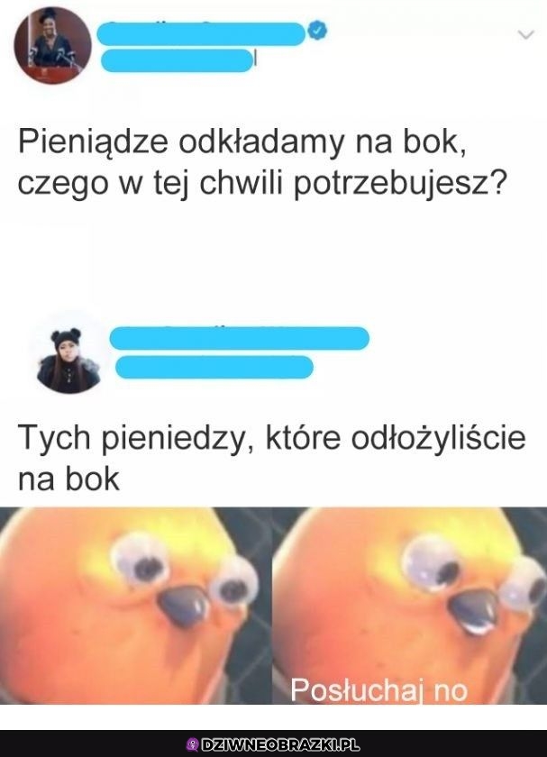 Właśnie tego