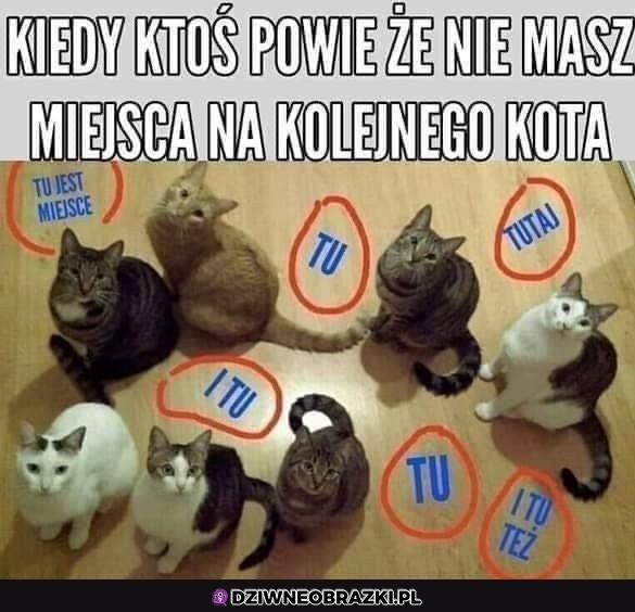 Jak to nie
