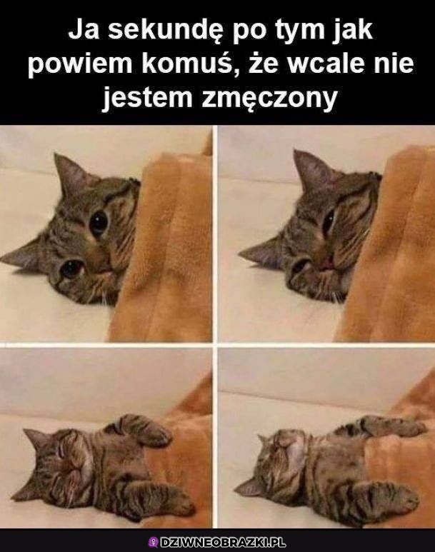Nie, nie jestem zmęczony