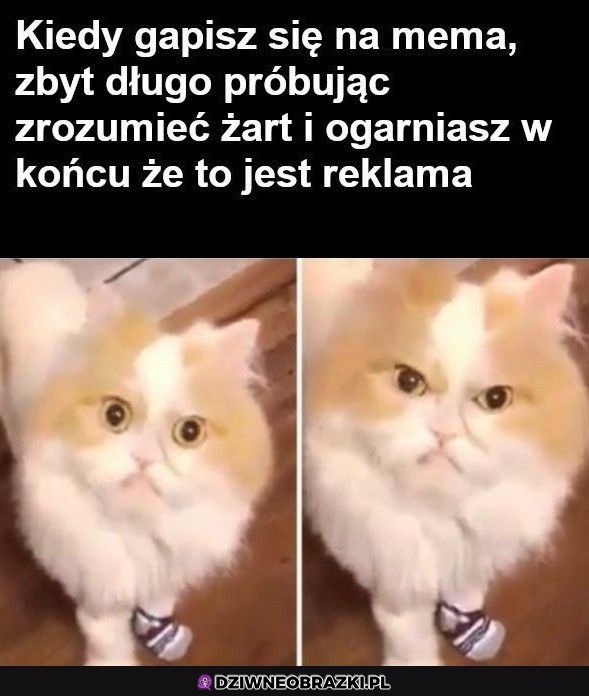 O żesz ty