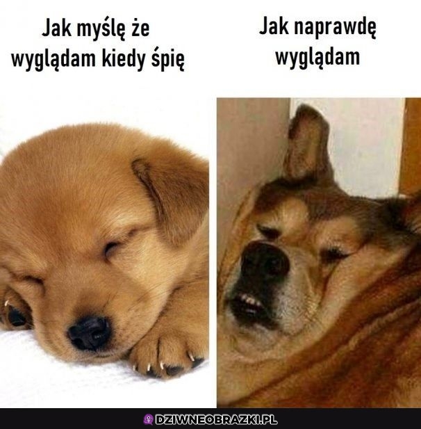 To ja