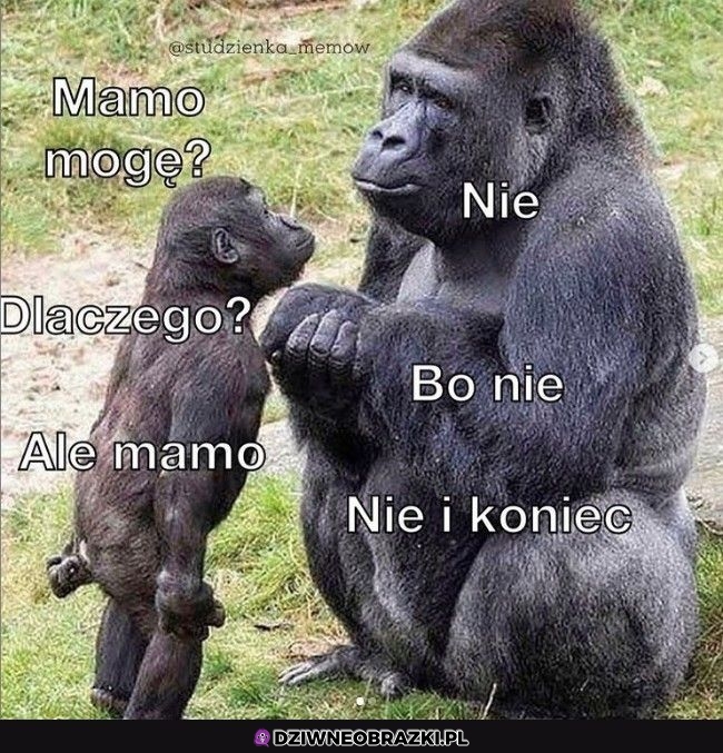 Mogę?