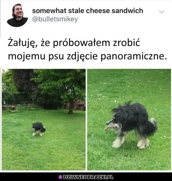 Wyszło nienajgorzej