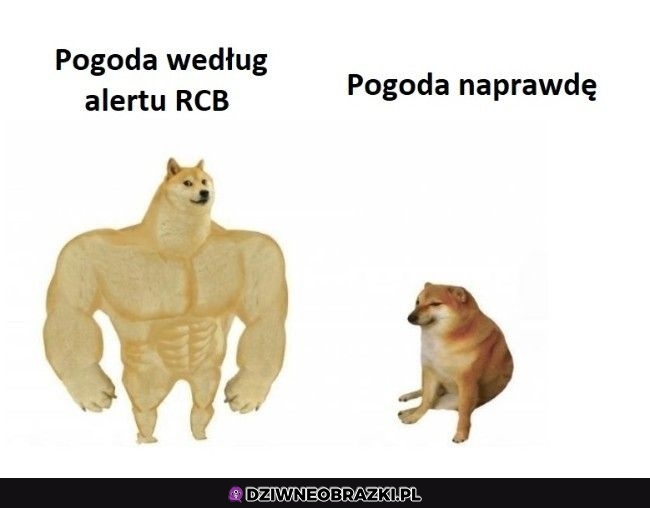 Kiedy dostajesz alerty RCB