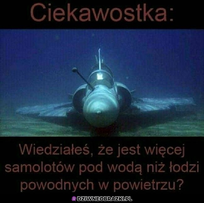 Ciekawostka