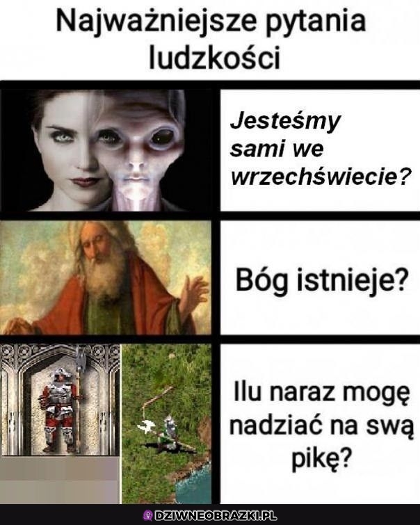 Najważniejsze pytania