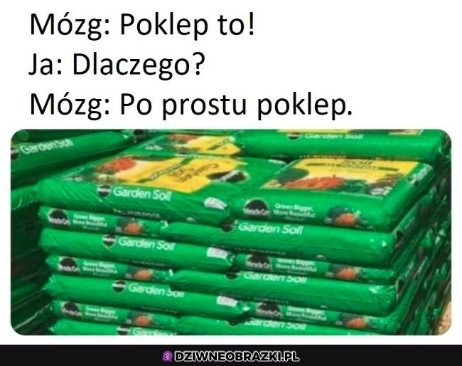 Wiem że klepiesz