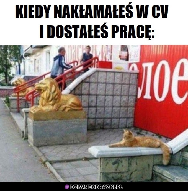 Pracownik miesiąca