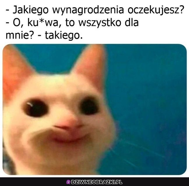 A Ty jakiego oczekujesz?