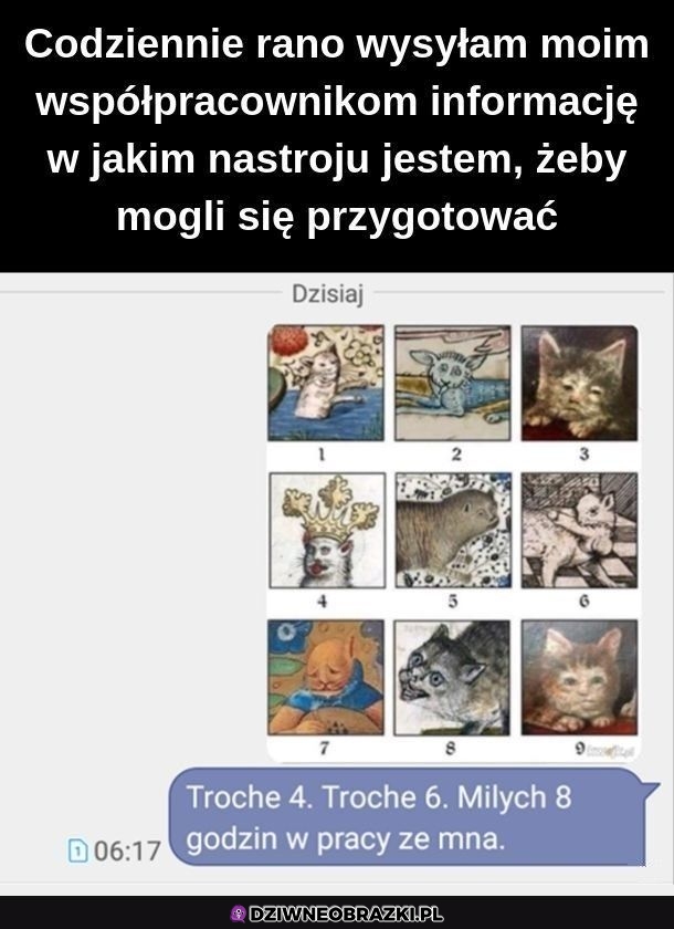 Instrukcja dla współpracowników