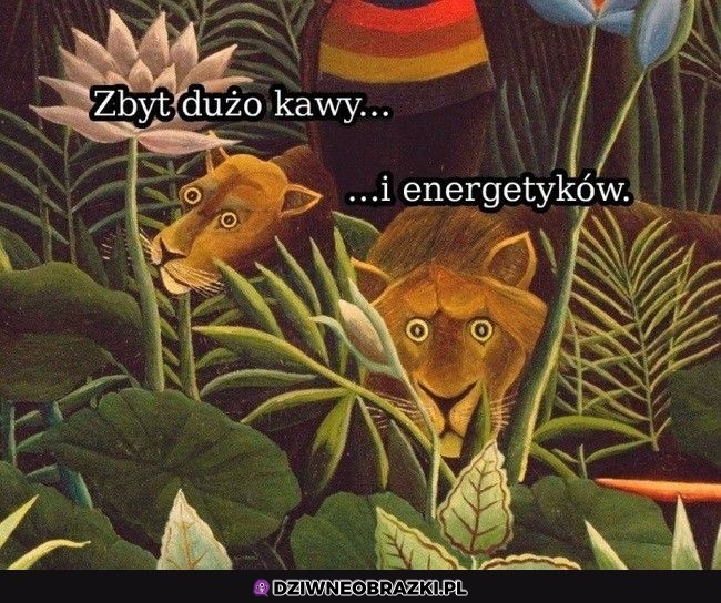 Za dużo