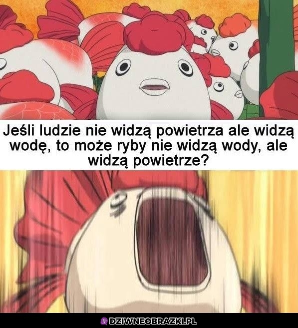 Jaka rozkmina