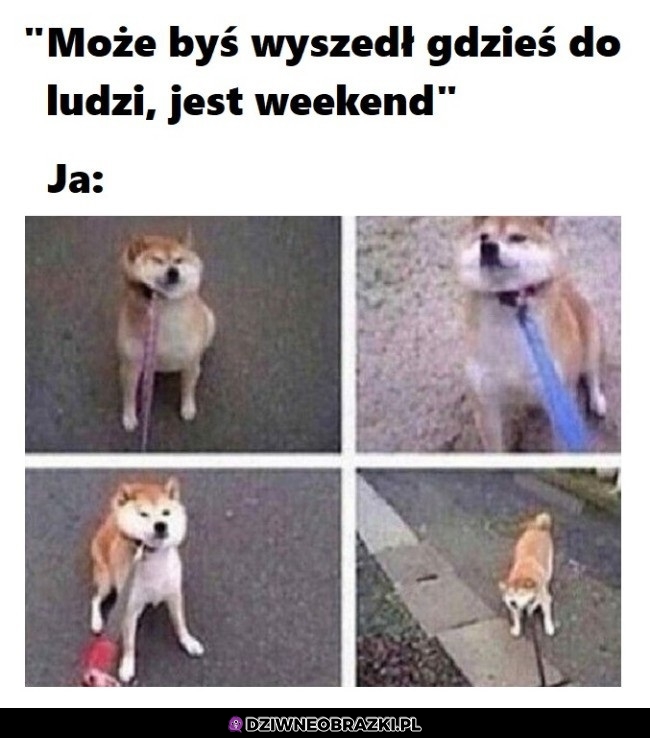 Nie