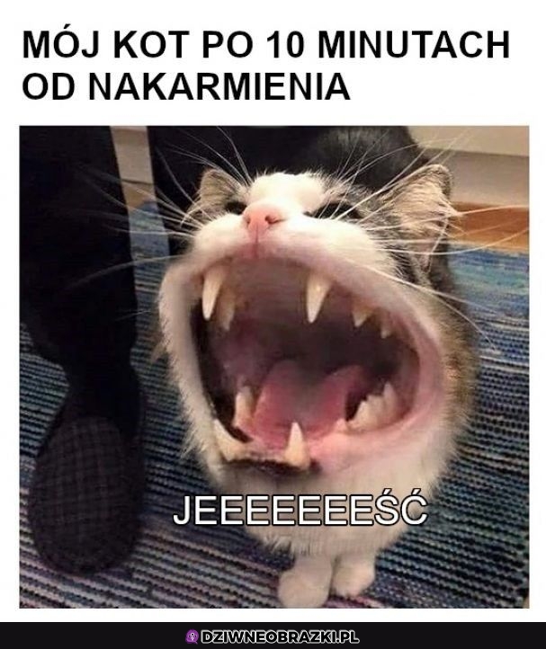 Głodomór
