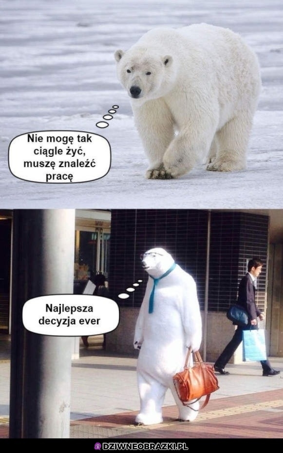 Czas szukać pracy
