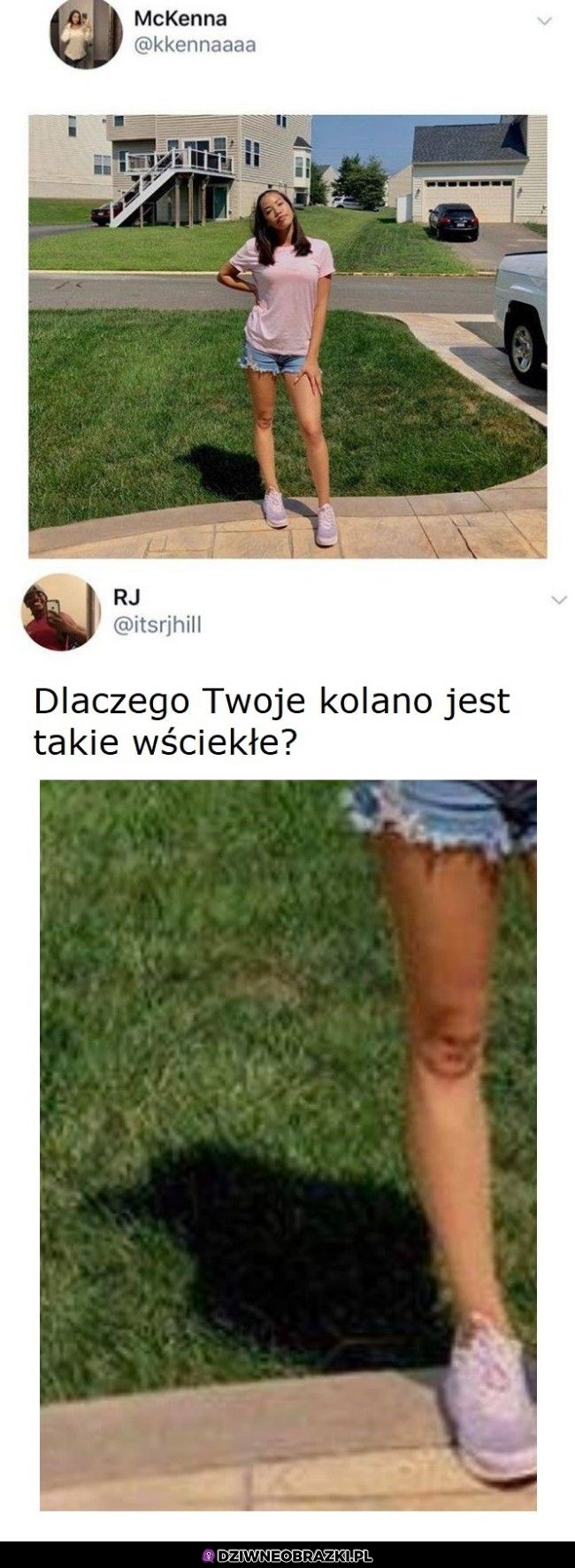 Wściekłe