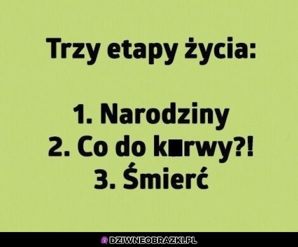 3 etapy