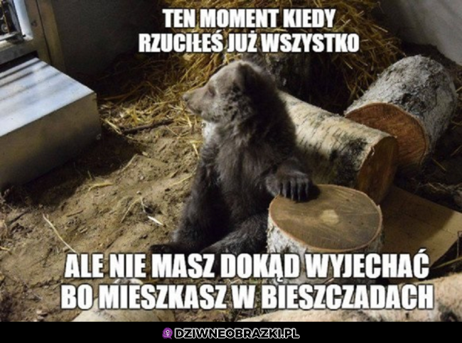 Ten moment