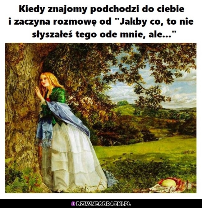 Ploteczki ruszają