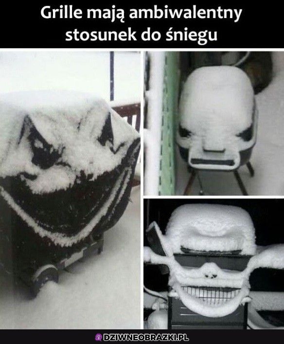 Grille i śnieg