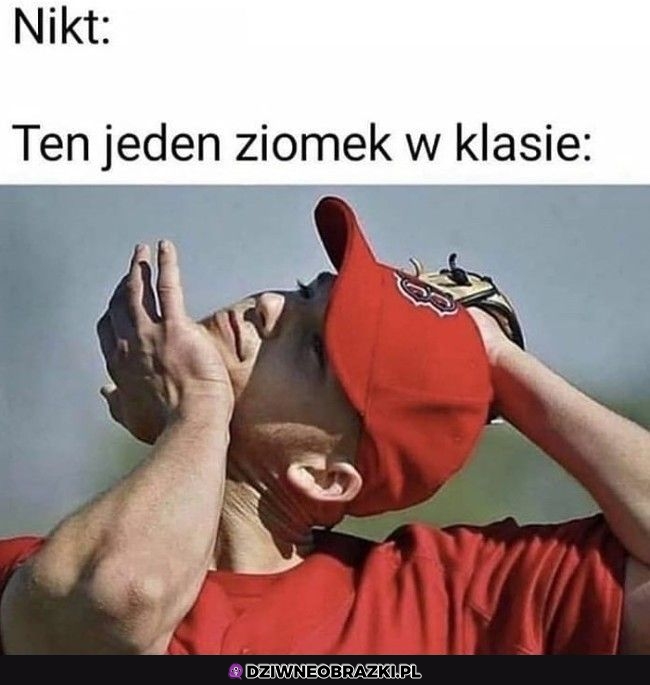 Albo i dwóch