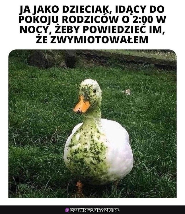 Tak było