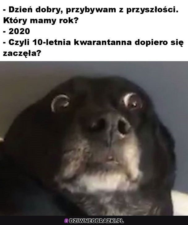 Że co?