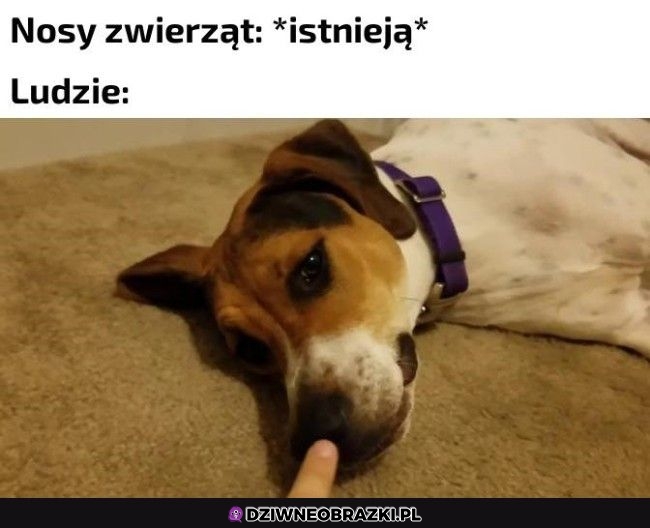 Też tak robię