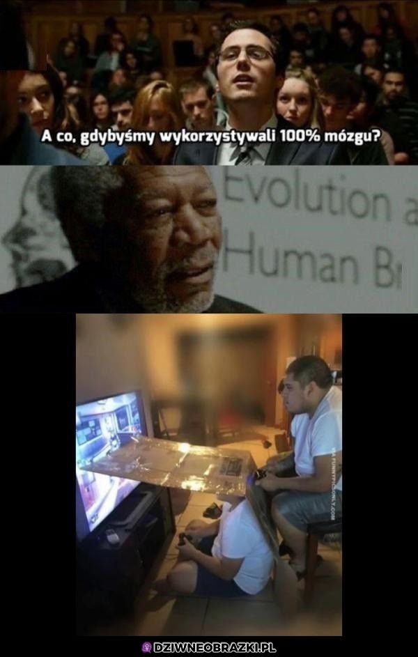 100% mózgu