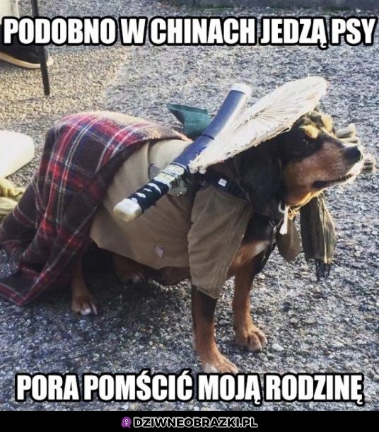 Przyszedł czas wypełnic przeznaczenie