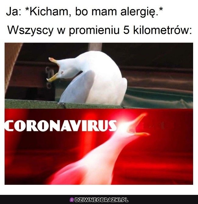To musi być on
