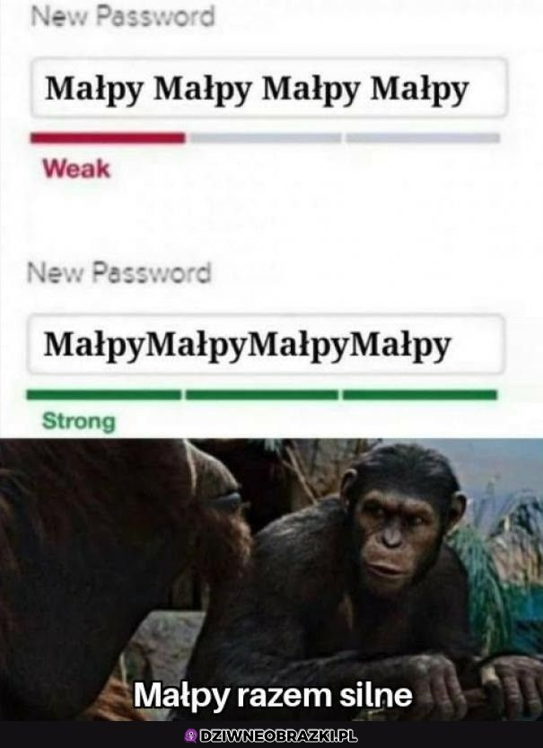 Małpy
