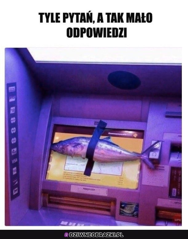 Pytanie się mnożą